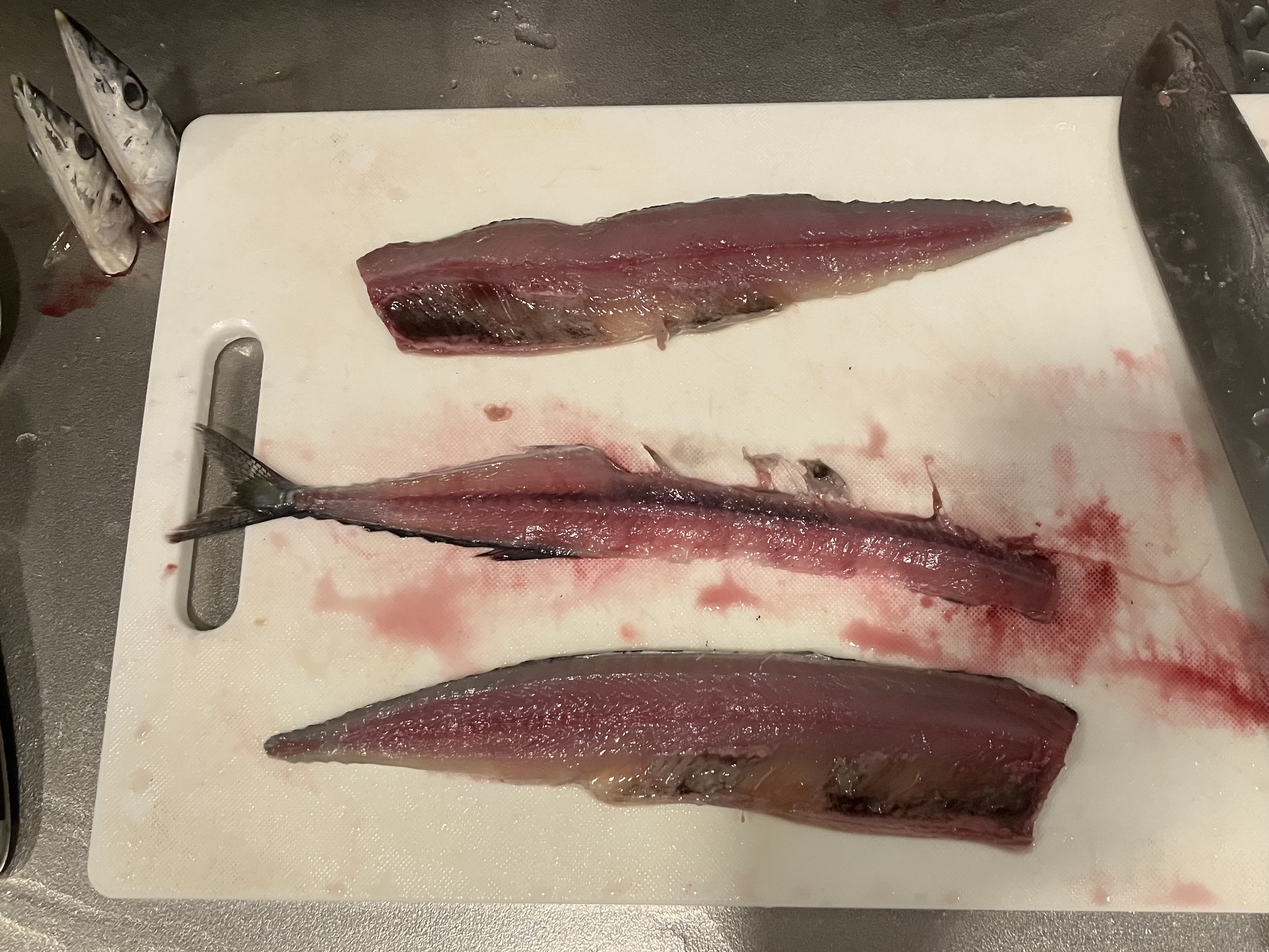 さっきよりも上手に三枚におろせた秋刀魚