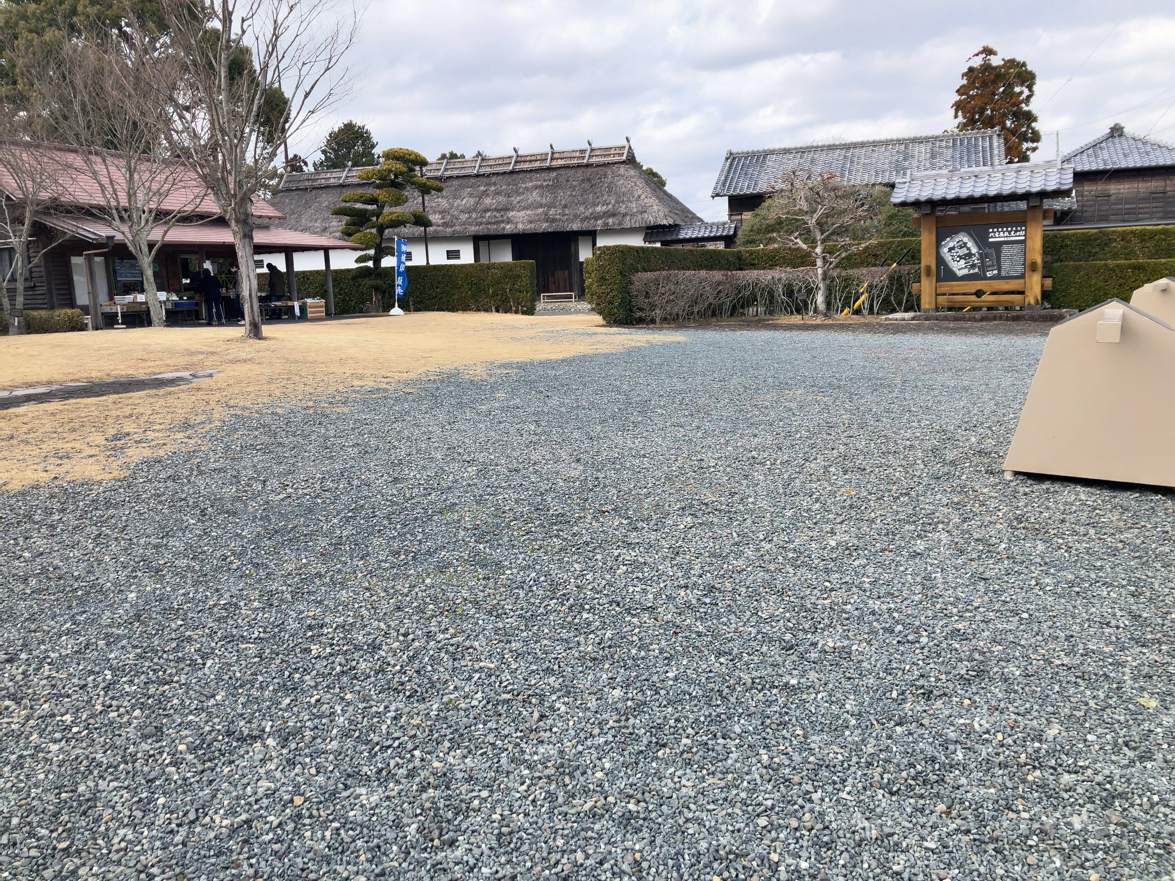 黒田家住宅内の梅