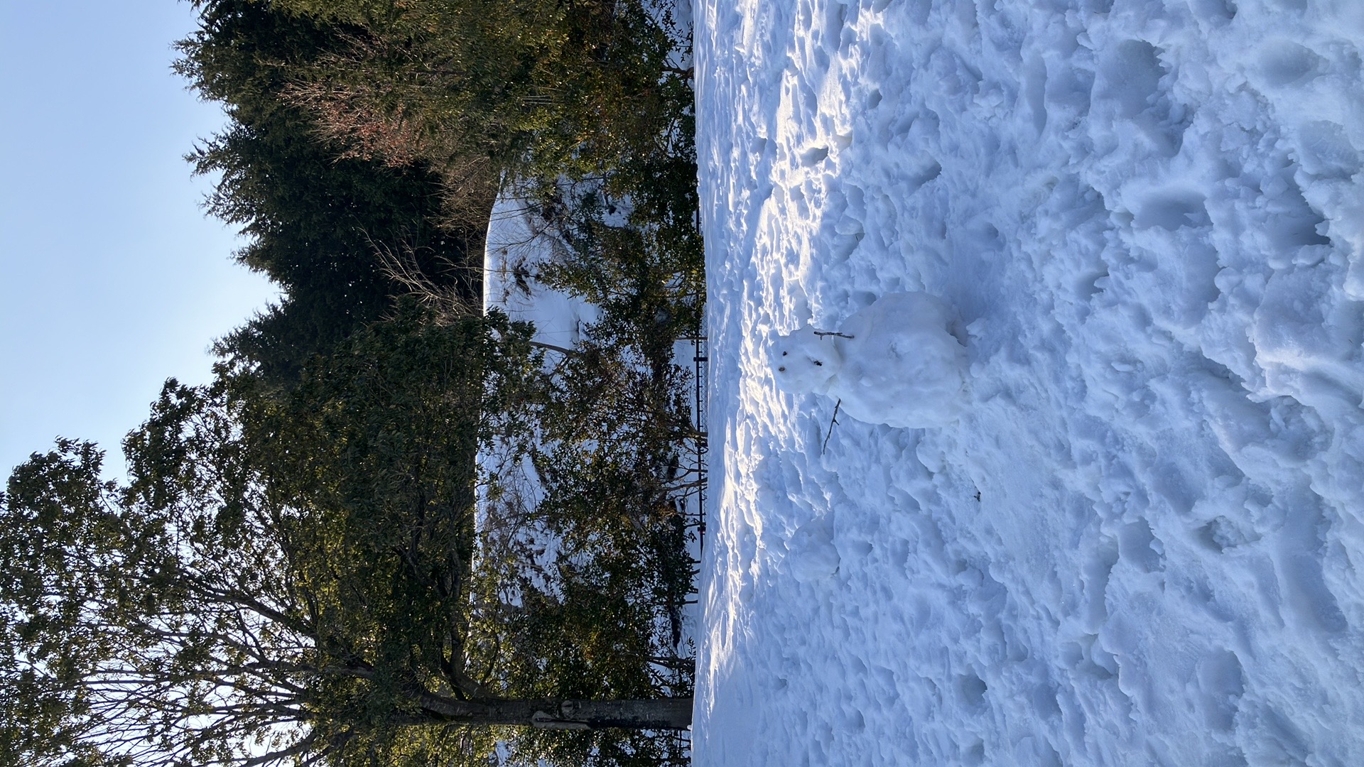 蒜山高原サービスエリアに残っていた雪だるま