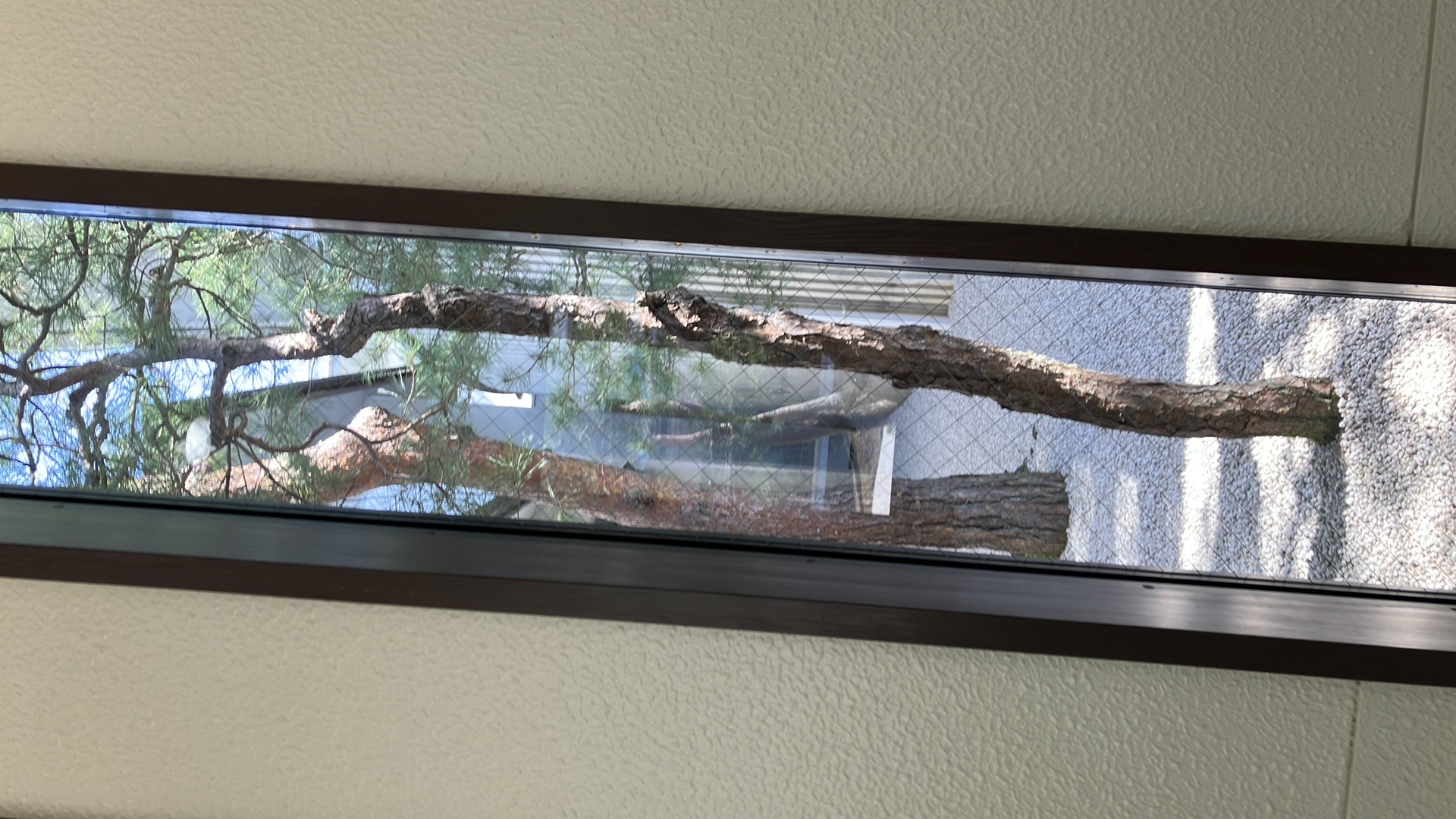 足立美術館の一角